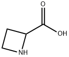 2517-04-6 L-铃兰氨酸