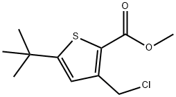 METHYL 5-(TERT-BUTYL)-3-(CHLOROMETHYL)THIOPHENE-2-CARBOXYLATE|