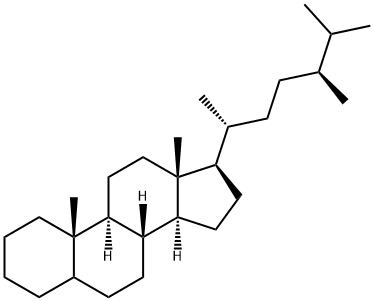 ergostane Structure