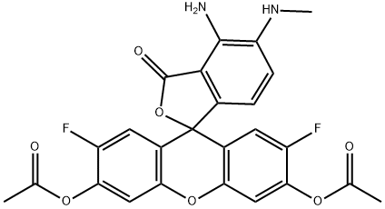 DAF-FM DA Structure