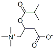 Isobutyroyl Carnitine Structure