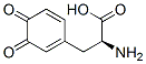 (S)-α-Amino-3,4-dioxo-1,5-cyclohexadiene-1-propanoic acid 结构式