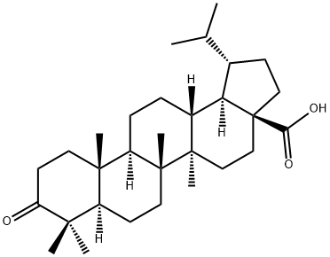 Dihydrobetulonicacid,25576-27-6,结构式