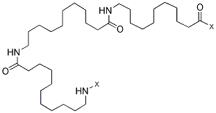 NYLON 11 Struktur