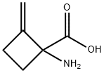 Cyclobutanecarboxylic acid, 1-amino-2-methylene- (9CI) Structure