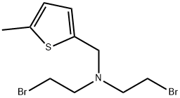 2-Thiophenemethanamine, N,N-bis(2-bromoethyl)-5-methyl- Structure