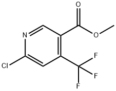 METHYL 6-CHLORO-4-(TRIFLUOROMETHYL)NICOTINATE Struktur