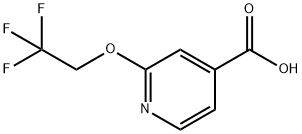 2-(2,2,2-トリフルオロエトキシ)ピリジン-4-カルボン酸 化学構造式