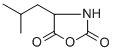 (R,S)-4-ISOBUTYLOXAZOLIDINE-2,5-DIONE 结构式