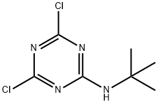 27282-85-5 N-(TERT-ブチル)-4,6-ジクロロ-1,3,5-トリアジン-2-アミン