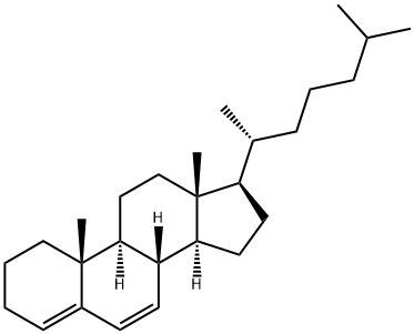 Cholesta-4,6-diene Structure