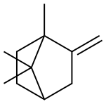 1,7,7-trimethyl-2-methylidene-norbornane|1,7,7-三甲基-2-亚甲基双环[2.2.1]庚烷