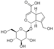 (1S,4aS,7aS)-7-(ヒドロキシメチル)-1-(β-D-グルコピラノシルオキシ)-1,4a,5,7a-テトラヒドロシクロペンタ[c]ピラン-4-カルボン酸 化学構造式