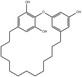 2-オキサトリシクロ[20.2.2.13,7]ヘプタコサ-3,5,7(27),22,24(1),25-ヘキサエン-5,24,25-トリオール 化学構造式