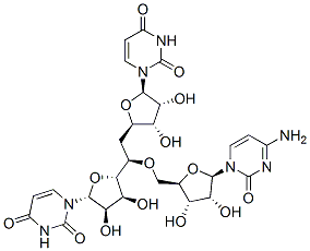 5'-r(uridylyl-uridylyl cytidine),2791-46-0,结构式