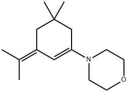 4-[5,5-ジメチル-3-(1-メチルエチリデン)-1-シクロヘキセン-1-イル]モルホリン 化学構造式