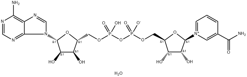 Β-NAD四水合物,282730-13-6,结构式