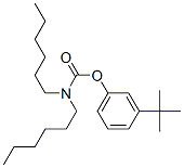 N,N-Dihexylcarbamic acid 3-tert-butylphenyl ester Structure