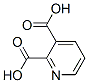 PYRIDINEDICARBOXYLIC ACID Struktur