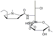 Clindamycin 3-Phosphate