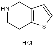4,5,6,7-Tetrahydrothieno[3,2,c] pyridine hydrochloride Structure