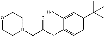 5-(tert-Butyl)-2-[(morpholin-4-yl)acetamido]aniline, 5-(tert-Butyl)-2-[(morpholin-4-yl)acetylamino]aniline, 4-(2-{[2-Amino-4-(tert-butyl)phenyl]amino}-2-oxoethyl)morpholine|N-(2-氨基-4-(叔丁基)苯基)-2-吗啉基乙酰胺