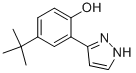 3-(2-HYDROXY-5-TERT-BUTYLPHENYL)PYRAZOLE|