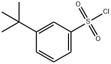 3-TERT-BUTYL BENZENESULFONYL CHLORIDE