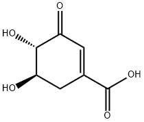 (-)-3-DEHYDROSHIKIMIC ACID|(-)-3-脱氢草酸