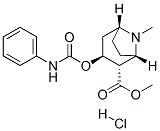 methyl (1S,2S,3S,5R)-8-methyl-3-(phenylcarbamoyloxy)-8-azabicyclo[3.2. 1]octane-2-carboxylate hydrochloride,29364-13-4,结构式