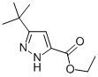 3-叔丁基-1H吡唑-5-甲酸乙酯, 294852-57-6, 结构式
