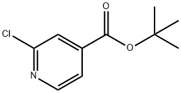 2-氯异烟酸叔丁酯,295349-62-1,结构式