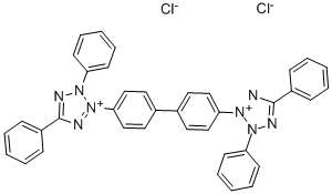 Neotetrazolium chloride|氯化新四唑