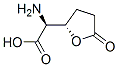 2-Furanaceticacid,alpha-aminotetrahydro-5-oxo-,(alphaS,2S)-(9CI) Structure