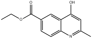 4-HYDROXY-2-METHYLQUINOLINE-6-CARBOXYLIC ACID ETHYL ESTER|2-甲基-4-羟基-6-喹啉甲酸乙酯