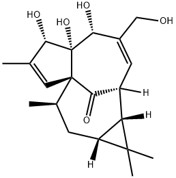 INGENOL Structure