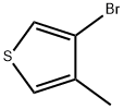 3-BROMO-4-METHYLTHIOPHENE