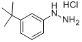 1-[3-叔丁基苯基]肼盐酸盐 结构式