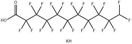 칼륨2,2,3,3,4,4,5,5,6,6,7,7,8,8,9,9,10,10,11,11-이코사플루오로운데카노에이트