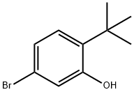 5-溴-2-叔丁基苯酚 结构式