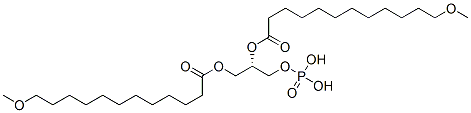 [(2S)-1-(12-methoxydodecanoyloxy)-3-phosphonooxypropan-2-yl] 12-methoxydodecanoate|磷脂酸