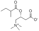 3-(2-methylbutanoyloxy)-4-trimethylazaniumylbutanoate|3-(2-甲基丁酰氧基)-4-(三甲基铵)丁酸内盐