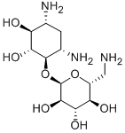 4-O-(6-Amino-6-deoxy-α-D-glucopyranosyl)-2-deoxy-D-streptamine|卡那霉素A相关化合物1