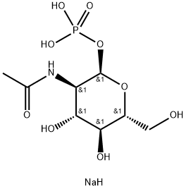 N-ACETYL-ALPHA-D-GLUCOSAMINE 6-PHOSPHATE DISODIUM SALT|N-乙酰-A-D-氨基葡萄糖-1-磷酸酯
