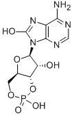 7,8-DIHYDRO-8-OXOADENOSINE-3':5'-사이클릭모노포스페이트