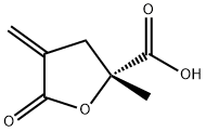 2-Furancarboxylicacid,tetrahydro-2-methyl-4-methylene-5-oxo-,(2R)-(9CI) 化学構造式