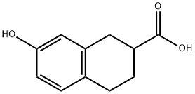7-HYDROXY-1,2,3,4-TETRAHYDRO-NAPHTHALENE-2-CARBOXYLIC ACID
