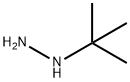 tert-Butyl hydrazine Structure