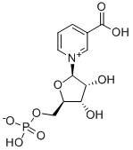 321-02-8 3-カルボキシラト-1-(5-O-ホスホノ-β-D-リボフラノシル)ピリジニウム