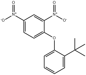 2,4-Dinitrophenyl 2-tert-butylphenyl ether 结构式